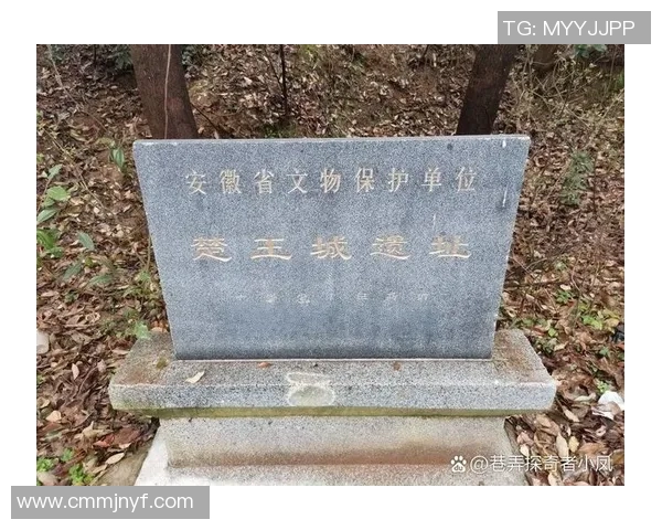 芜湖的历史渊源与文化特色探秘：一座古老城市的现代变革与发展之路