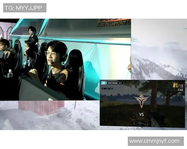 英雄联盟战术解析：深入探讨V5战队的防守策略与执行细节