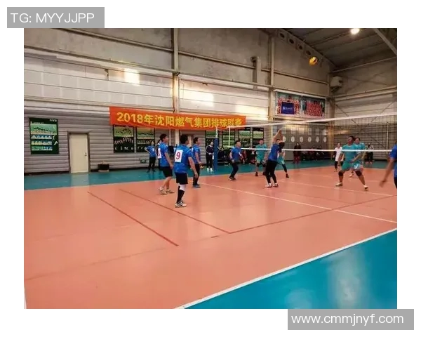 广州排球队实力强劲荣登全国排球力量排行榜第五名