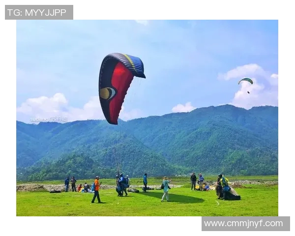 成都极限运动队的控制得失与挑战分析及未来发展方向探讨